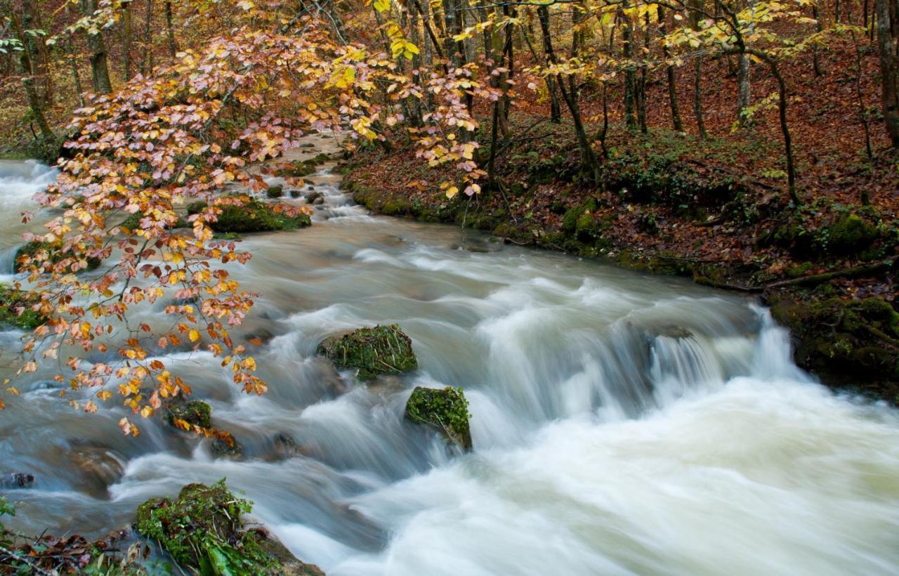 Villa Kuca Za Odmor Uz Rijeku Slapnica, U Parku Prirode Zumberak, Finska Sauna I Jacuzzi Krasic Exterior foto