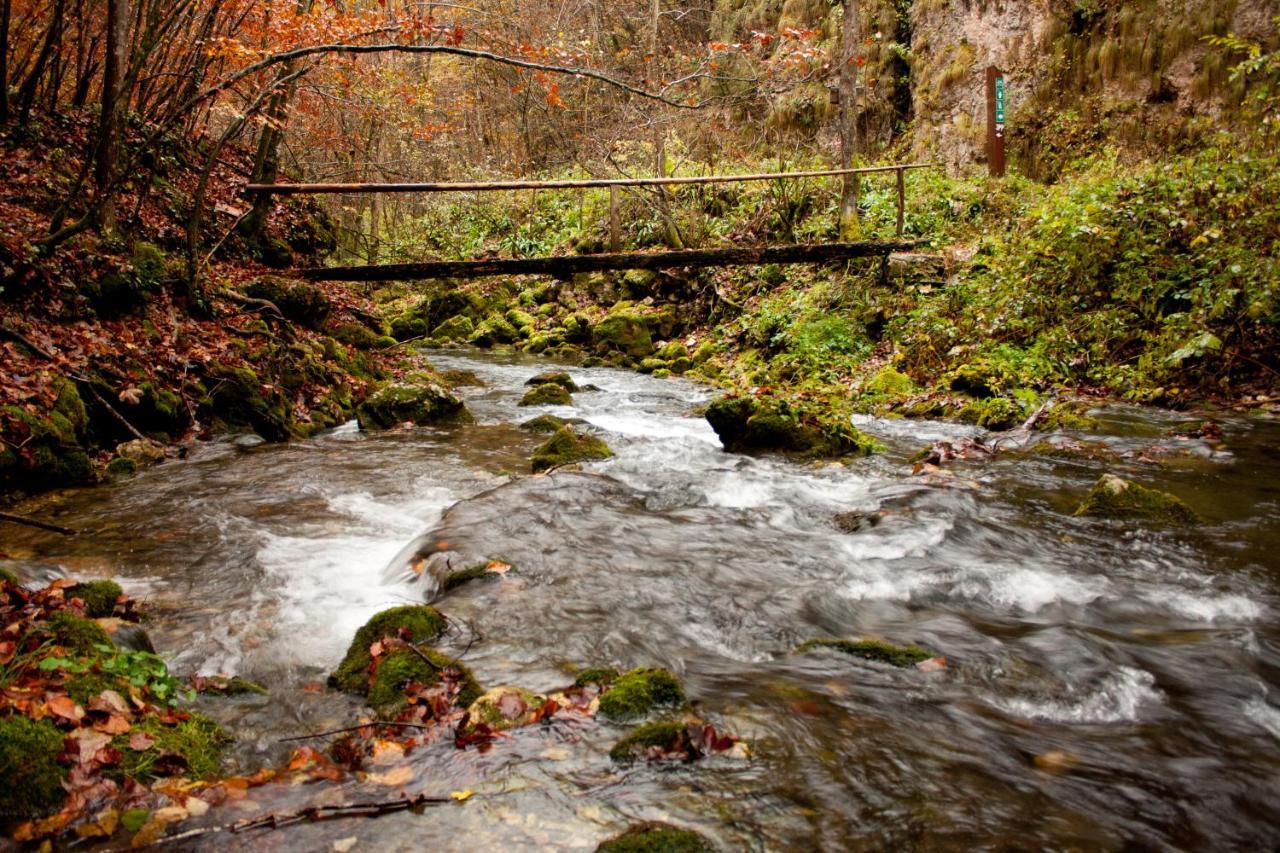 Villa Kuca Za Odmor Uz Rijeku Slapnica, U Parku Prirode Zumberak, Finska Sauna I Jacuzzi Krasic Exterior foto