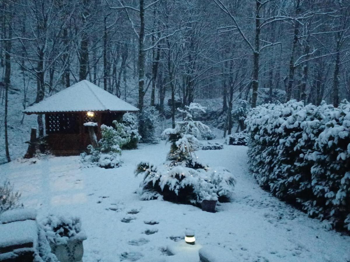 Villa Kuca Za Odmor Uz Rijeku Slapnica, U Parku Prirode Zumberak, Finska Sauna I Jacuzzi Krasic Exterior foto