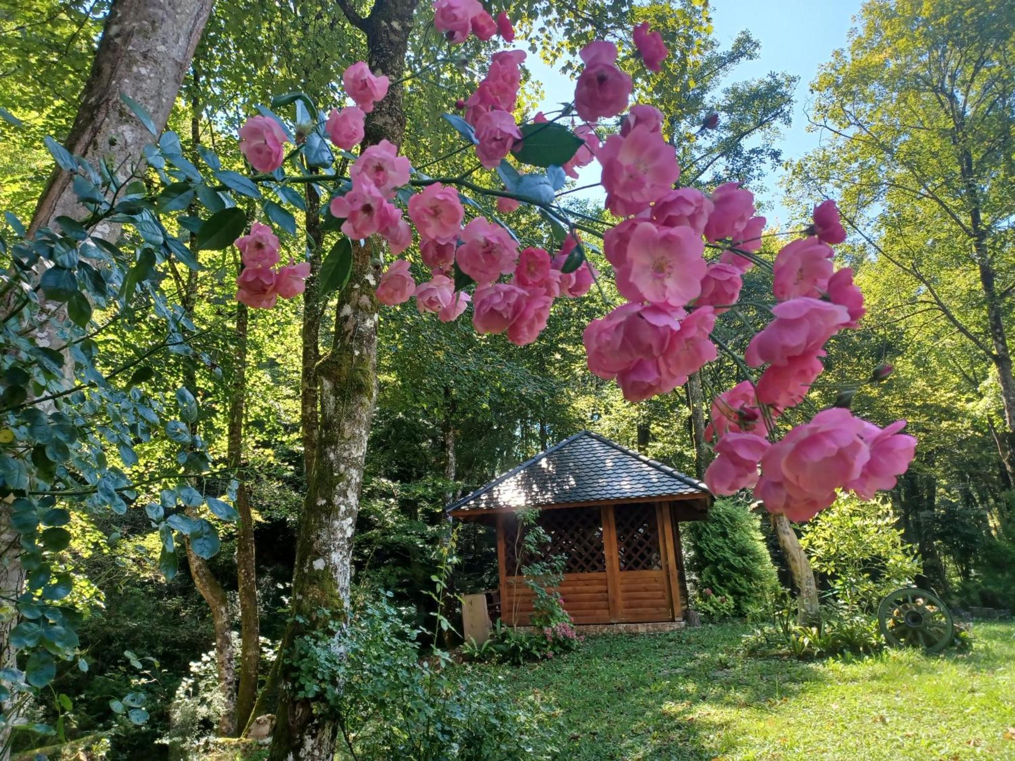 Villa Kuca Za Odmor Uz Rijeku Slapnica, U Parku Prirode Zumberak, Finska Sauna I Jacuzzi Krasic Exterior foto